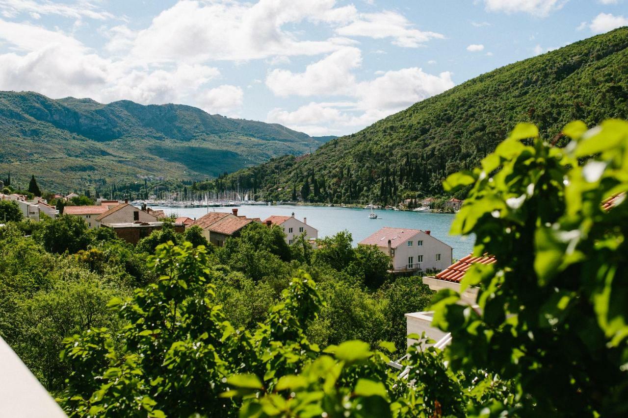Dubravka Apartmani Mokosica Luaran gambar
