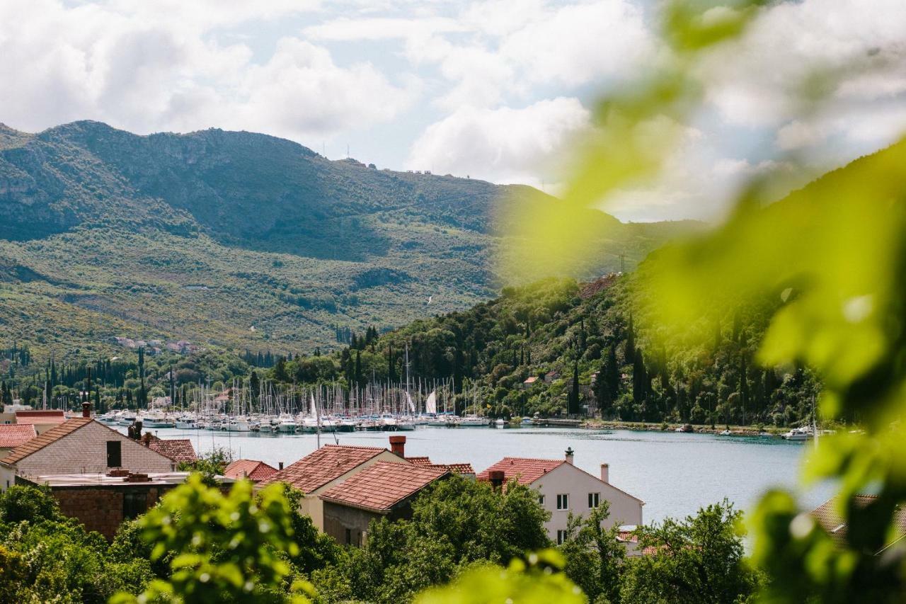 Dubravka Apartmani Mokosica Luaran gambar